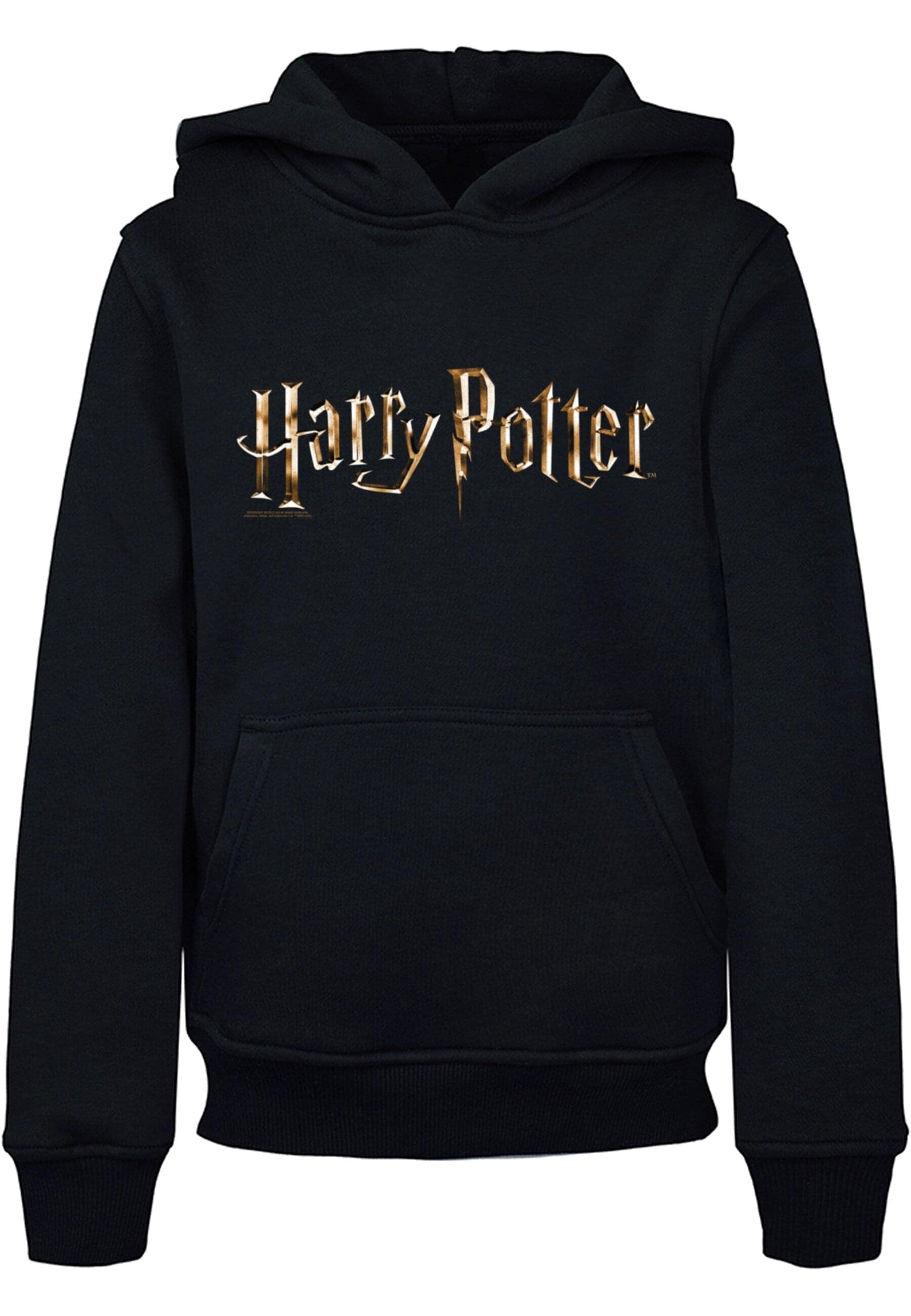 Kapuzensweatshirt »ABSOLUTE CULT Herren Kids Harry Potter - Colour Logo Basic Hoody«