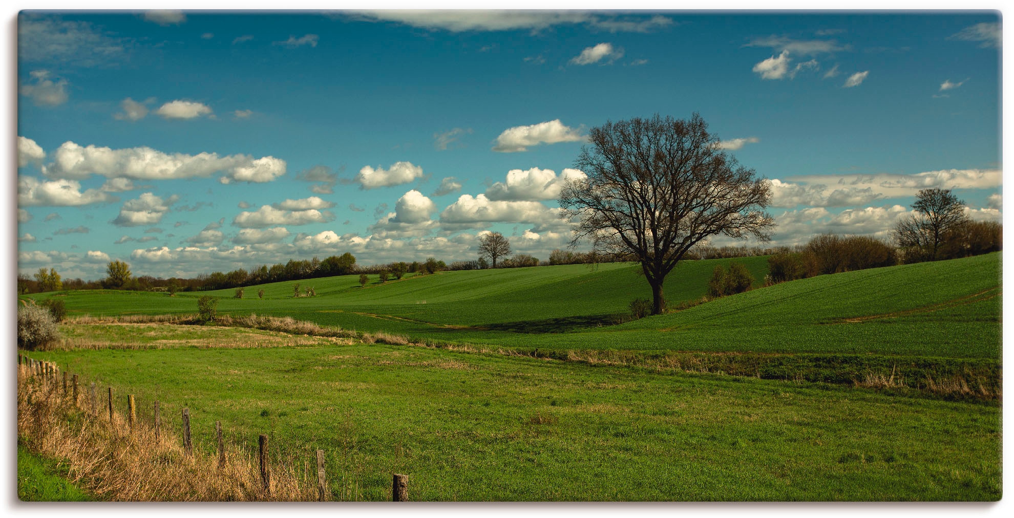 Artland Paveikslas »Natur pur« Felder (1 St.) ...