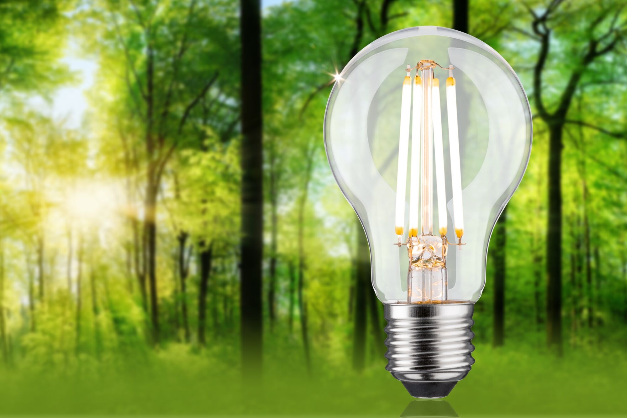Paulmann LED-Leuchtmittel »Eco-Line Filament 230V LED Birne E27 806lm 4,3W 3000K dimmbar Klar«, E27, 1 St., Warmweiß