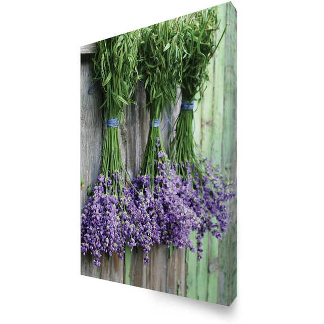 Art for the home Leinwandbild »Outdoor Lavendel 50x70cm«, (1 St.) kaufen |  BAUR