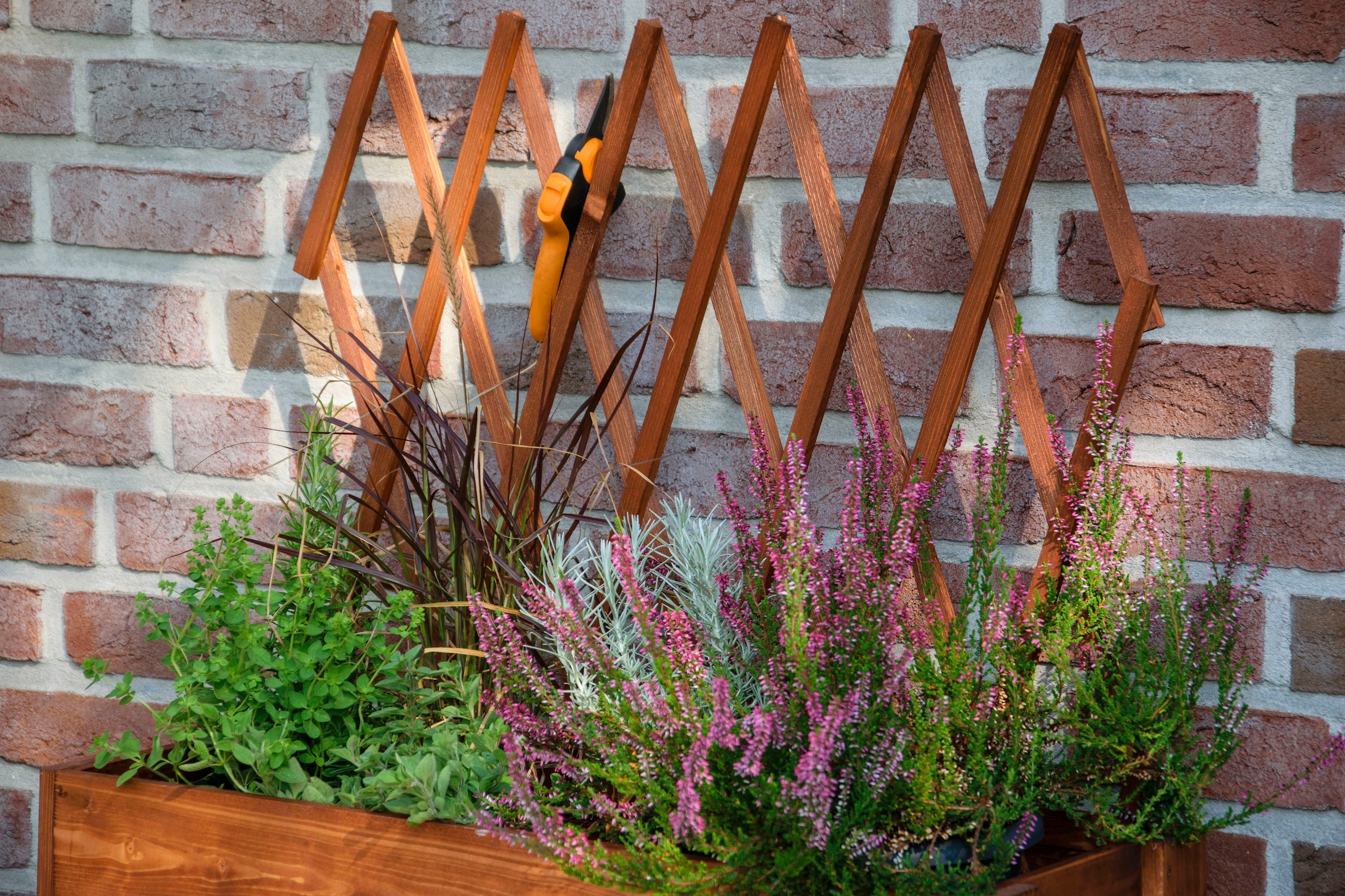 dobar Hochbeet rollbar, mit Rankgitter, braun