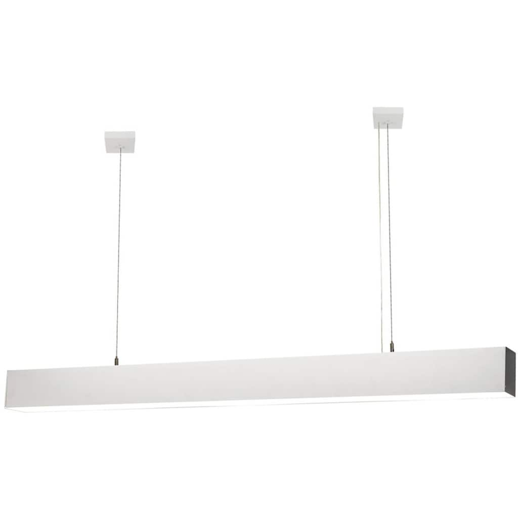 Havit Lighting LED Deckenleuchte »PROLINE«, 1 flammig-flammig