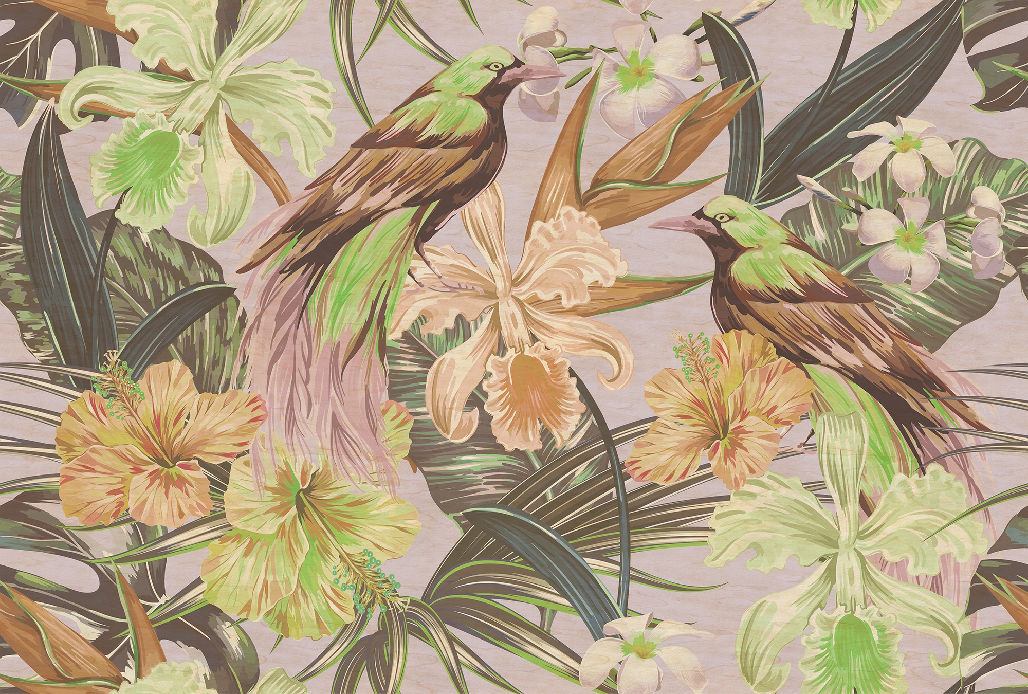 living walls Fototapete "Walls by Patel Exotic Birds 2" glatt Vlies, Wand, günstig online kaufen