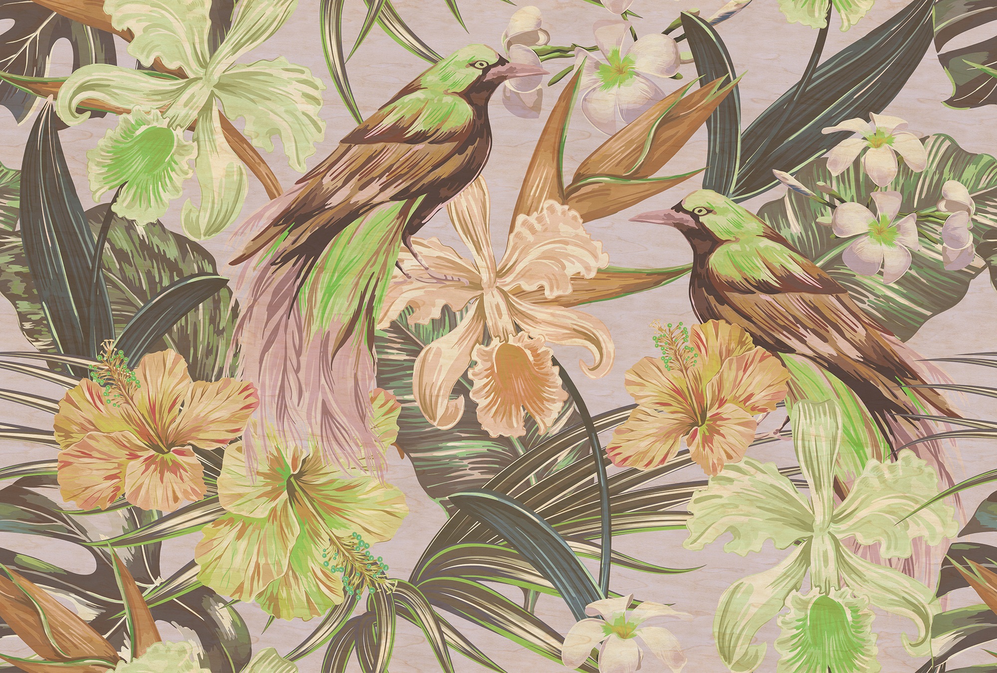 living walls "Walls by Patel Exotic Birds 2" glatt Vlies, Wand, Schräge günstig online kaufen