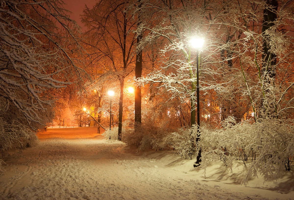 Papermoon Fototapete "Park im Winter" günstig online kaufen