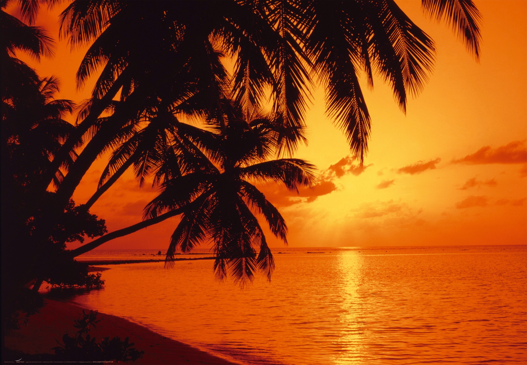 Papermoon Fototapete "Tropic Sunset" glatt