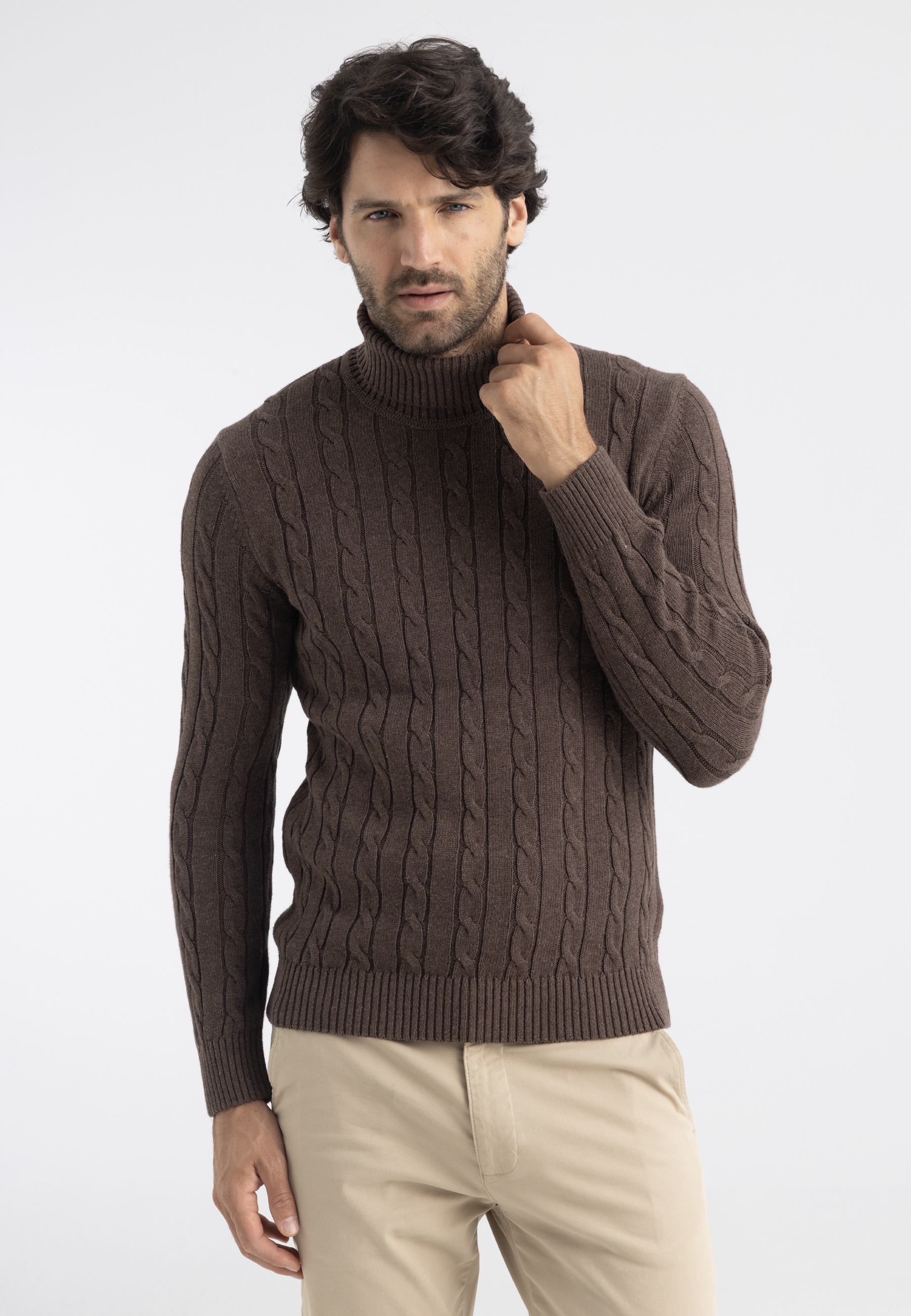 Felix Hardy Rollkragenpullover »Rollkragenpullover mit Zopfmuster«
