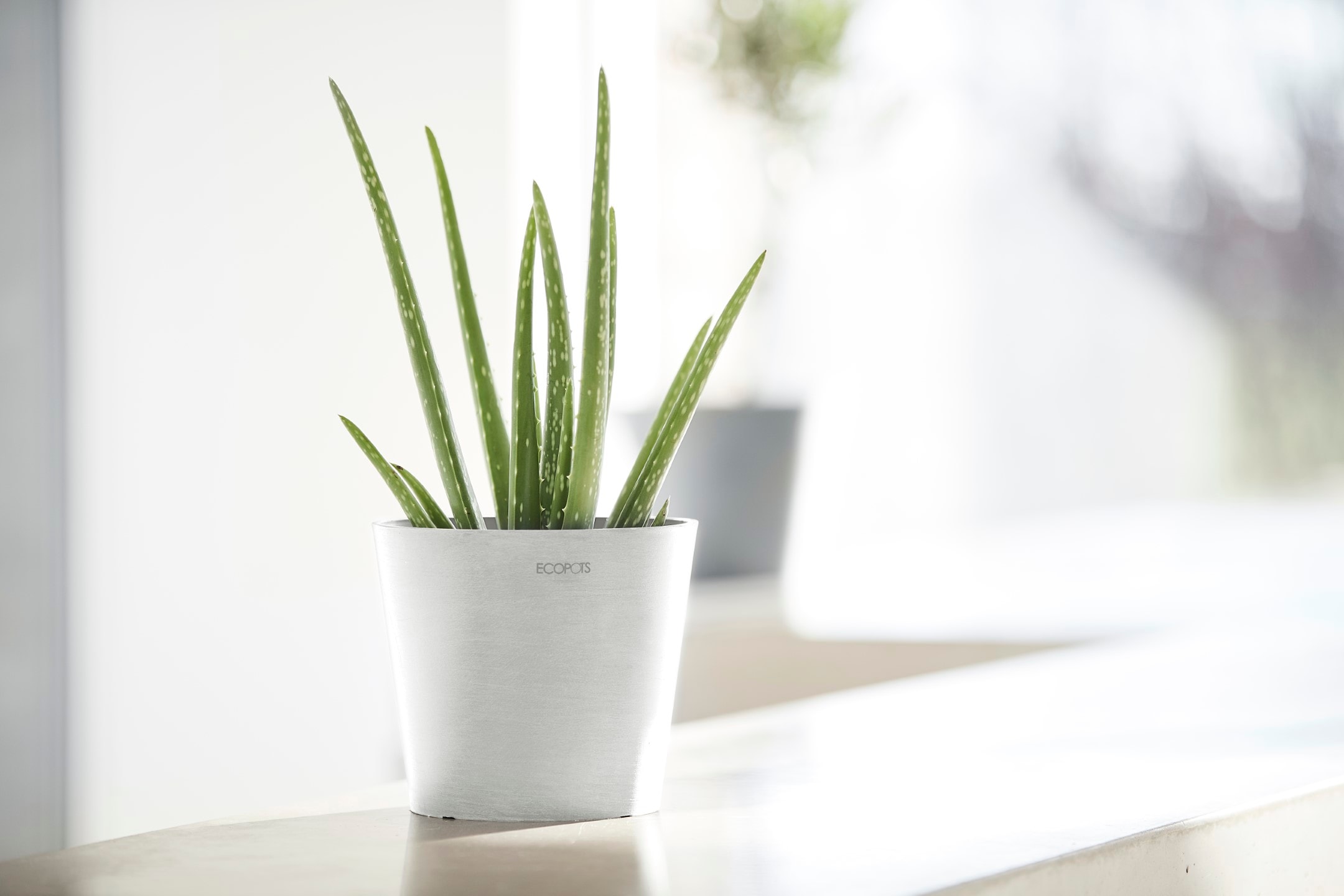 ECOPOTS Blumentopf »Amsterdam Mini 17 Weiß« für den Innenbereich