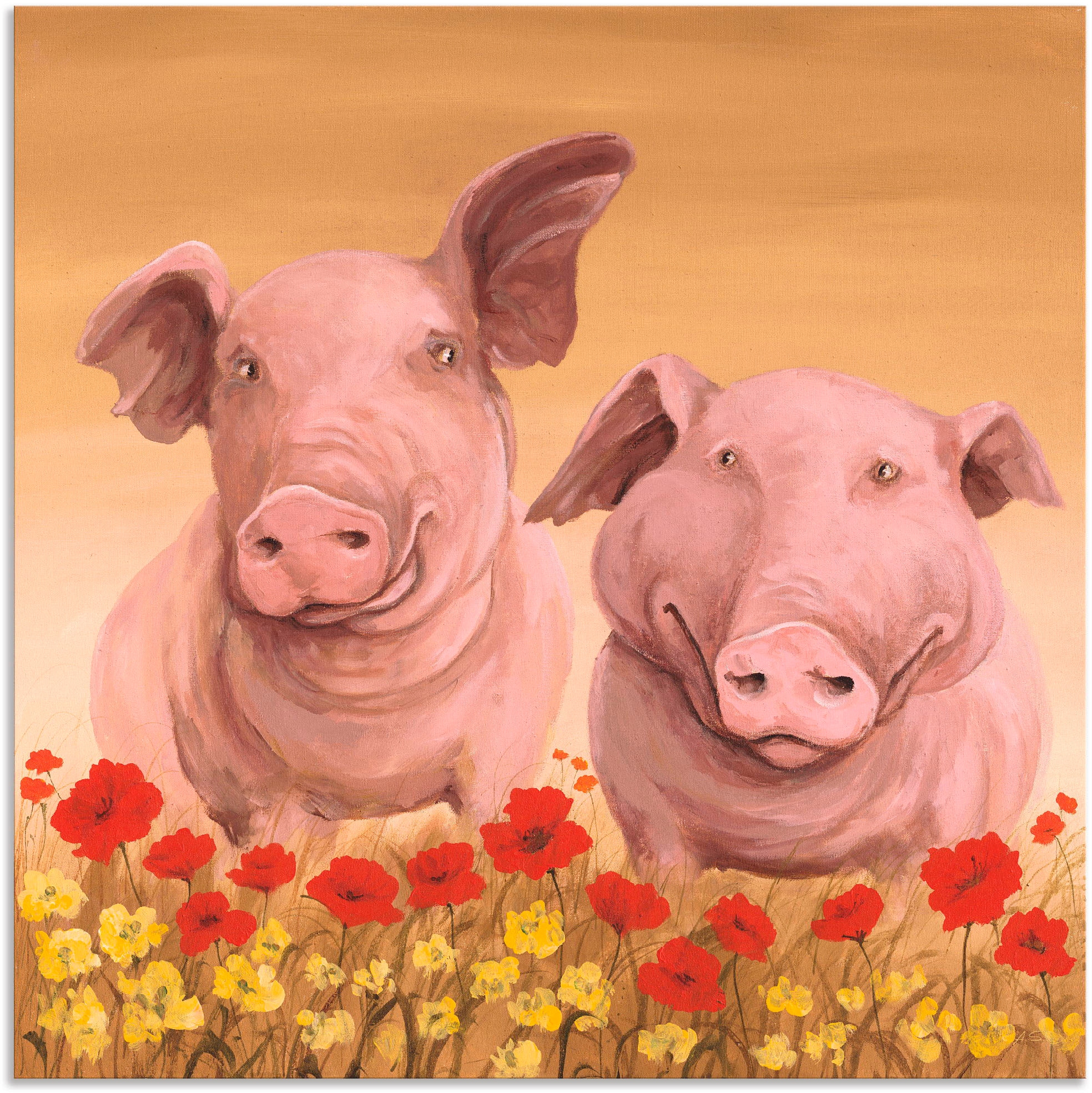Artland Wandbild »Schweine«, kaufen Größen Haustiere, versch. (1 St.), in als BAUR oder Alubild, | Leinwandbild, Wandaufkleber Poster