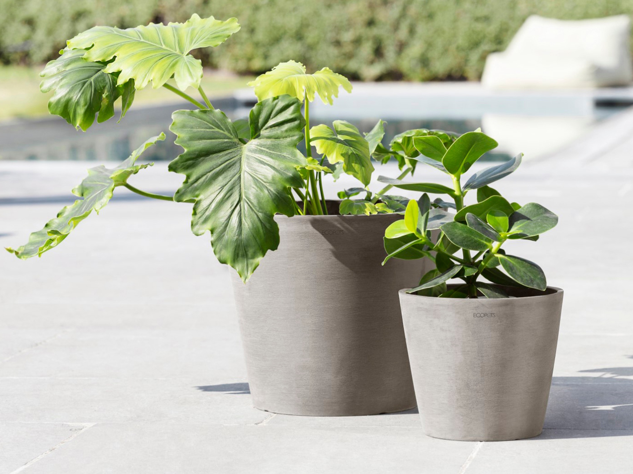 ECOPOTS Blumentopf »Amsterdam 30 + Wassersystem Taupe«, für innen und außen: frostsicher, bruchsicher und lichtbeständig