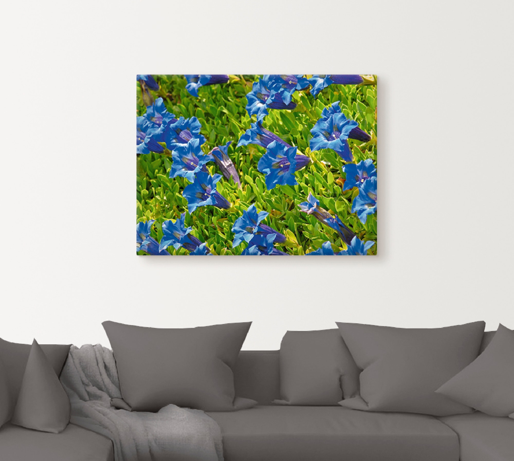 Artland Wandbild »Enzian«, Blumenwiese, (1 St.), als Leinwandbild, Poster in verschied. Größen