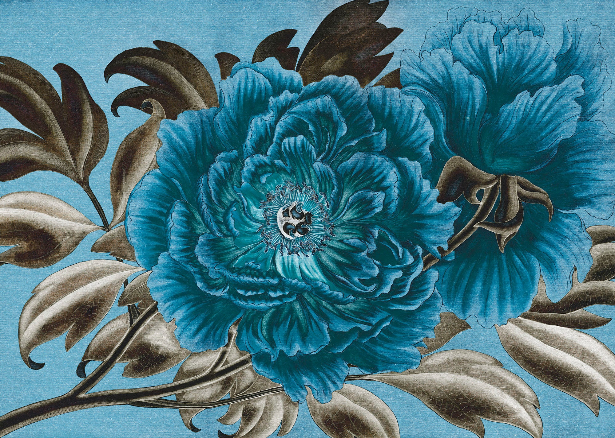 Komar Vliestapete »Royal Peony«, 350x250 cm (Breite x Höhe)