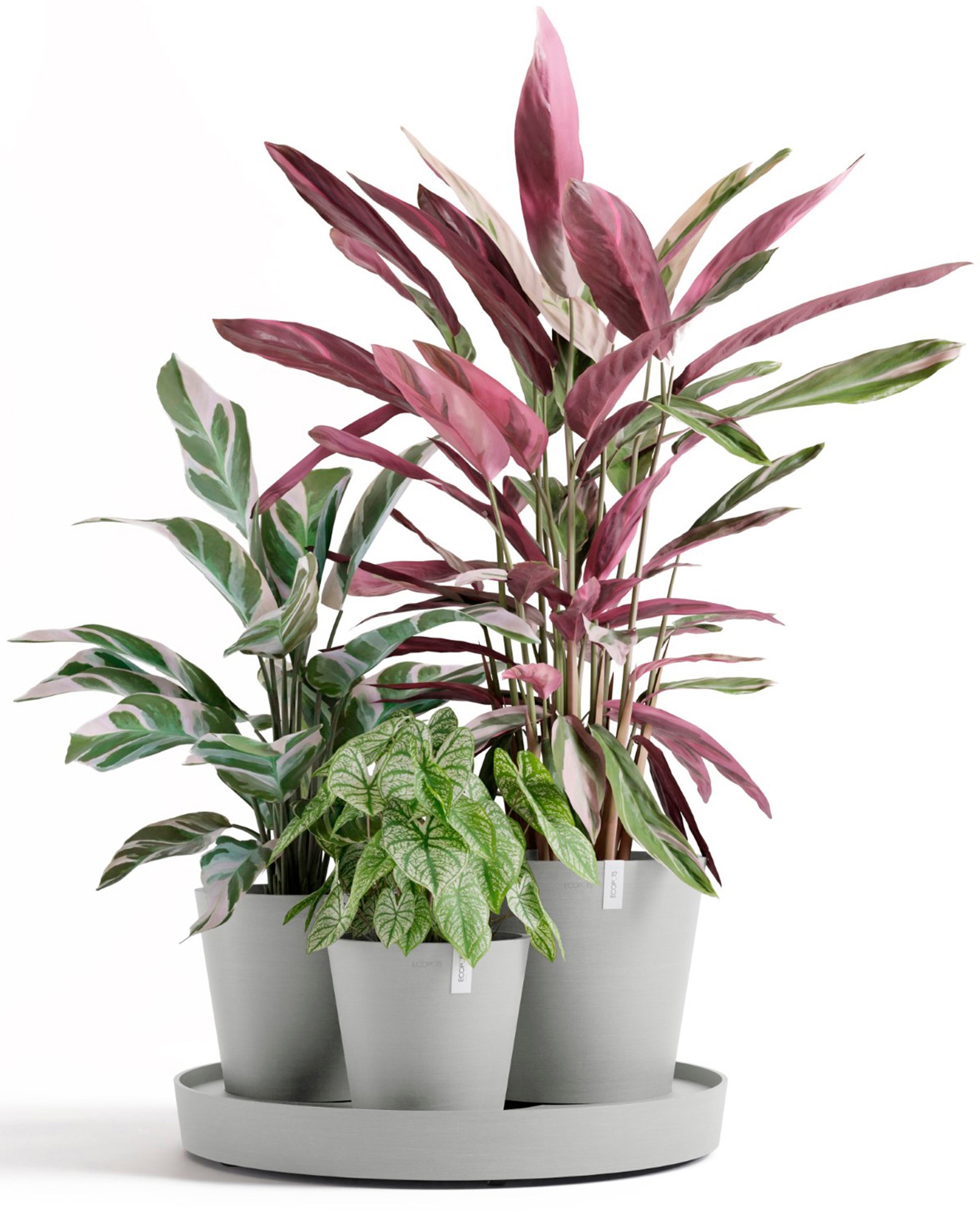 ECOPOTS Blumentopf »Dubai Weißgrau«, für innen und außen: frostsicher, bruchsicher und lichtbeständig