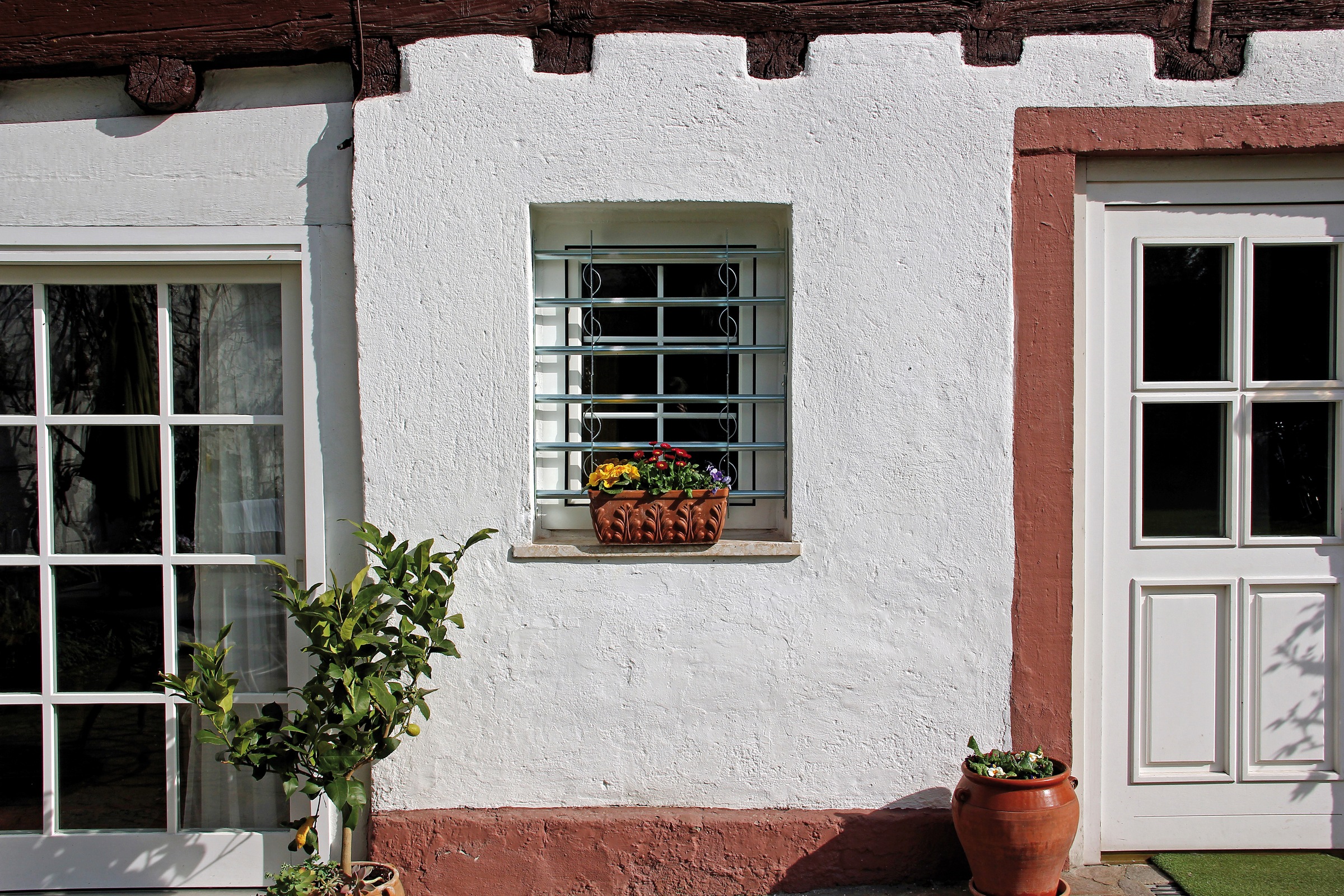 Alberts Fensterschutzgitter "Secorino Style" Breite ausziehbar 50-65 cm, versch. Höhen