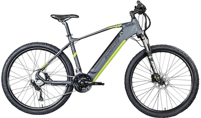 E-Bike »Z808«, 24 Gang, Heckmotor 250 W