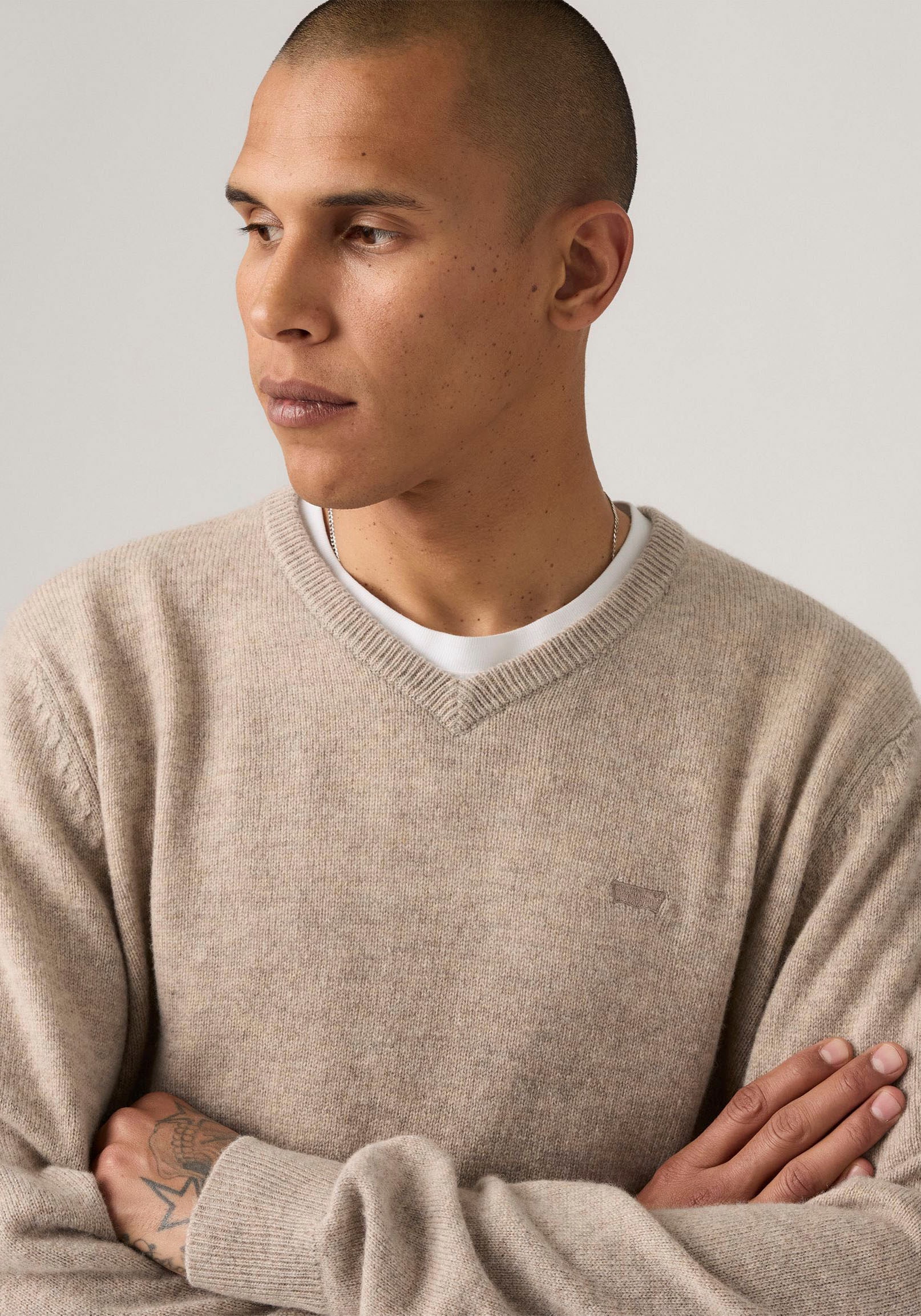 Levi's® V-Ausschnitt-Pullover