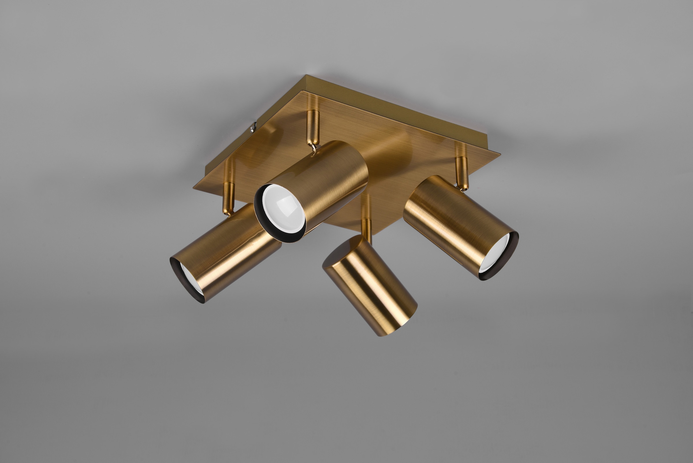 TRIO Leuchten Deckenstrahler »Marley« GU10 1 Stk. Leuchtmittel frei wählbar; Altmessingoptik, Spots dreh- und schwenkbar