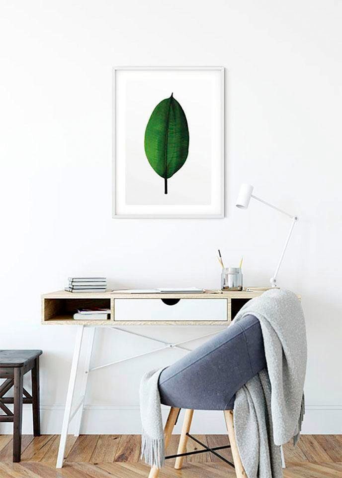 Komar Bild »Ficus Leaf«, Pflanzen-Blätter, (1 St.), Wandbild zur Dekoration - ohne Rahmen