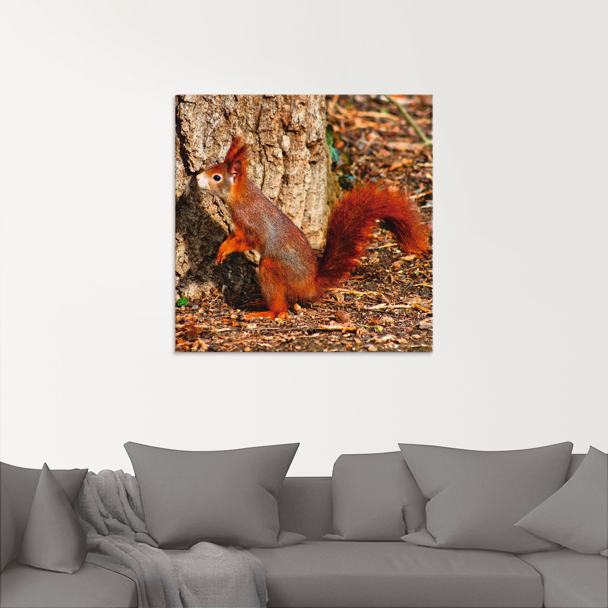 Größen Glasbild hinaus«, »Rotes Artland BAUR hoch in verschiedenen | Eichhörnchen Wildtiere, (1 St.), kaufen will