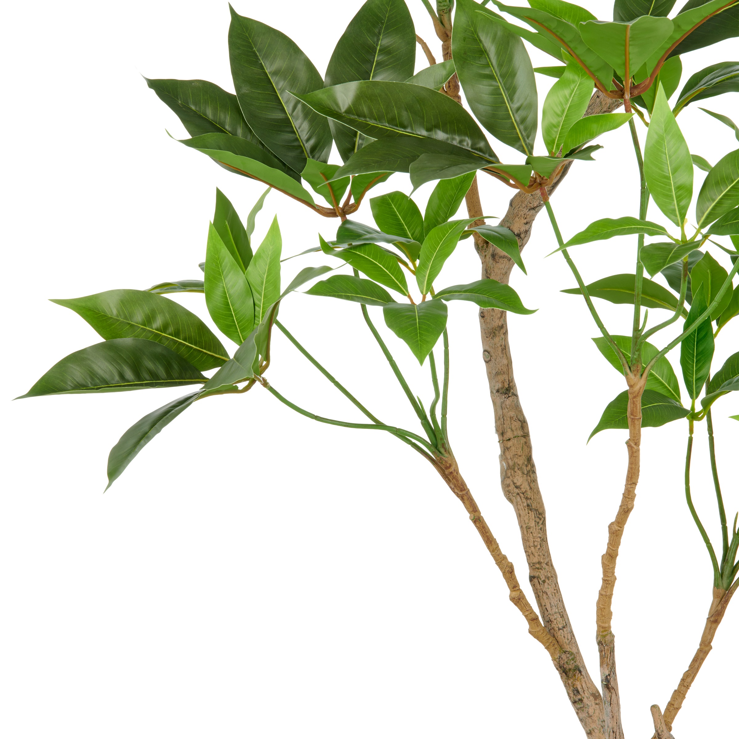 Creativ green Kunstbaum »Zimmeraralie«, mit naturgetreuer Gestaltung