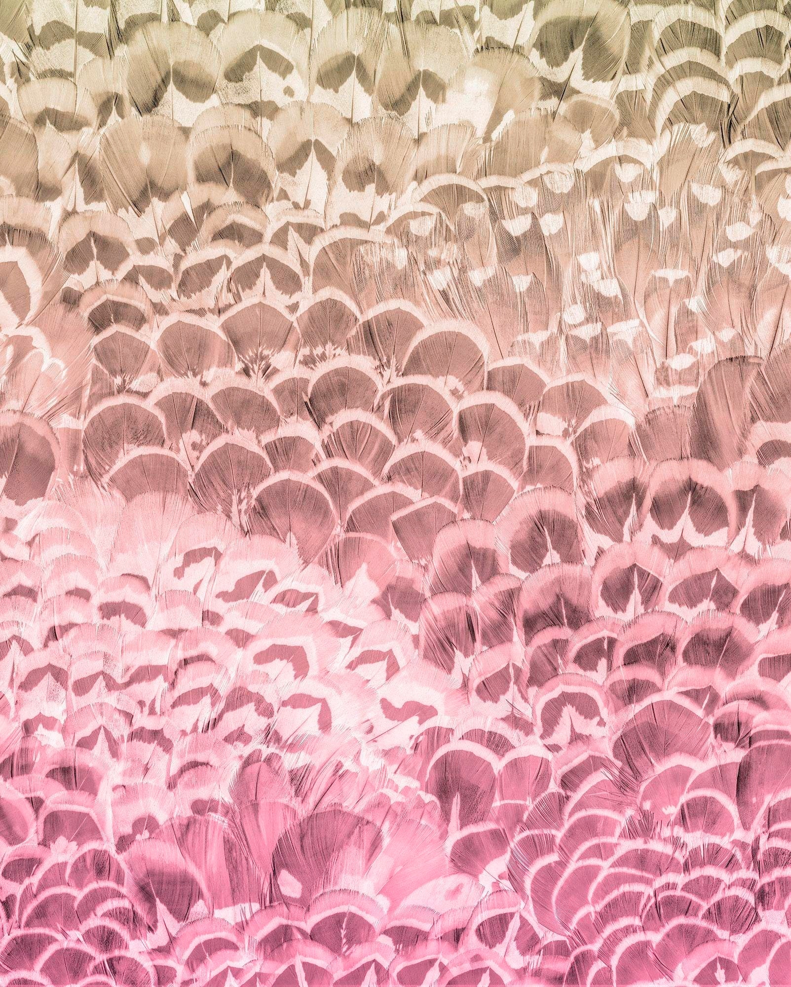 Komar Vliestapete »Pale Feathers« 200x250 cm...