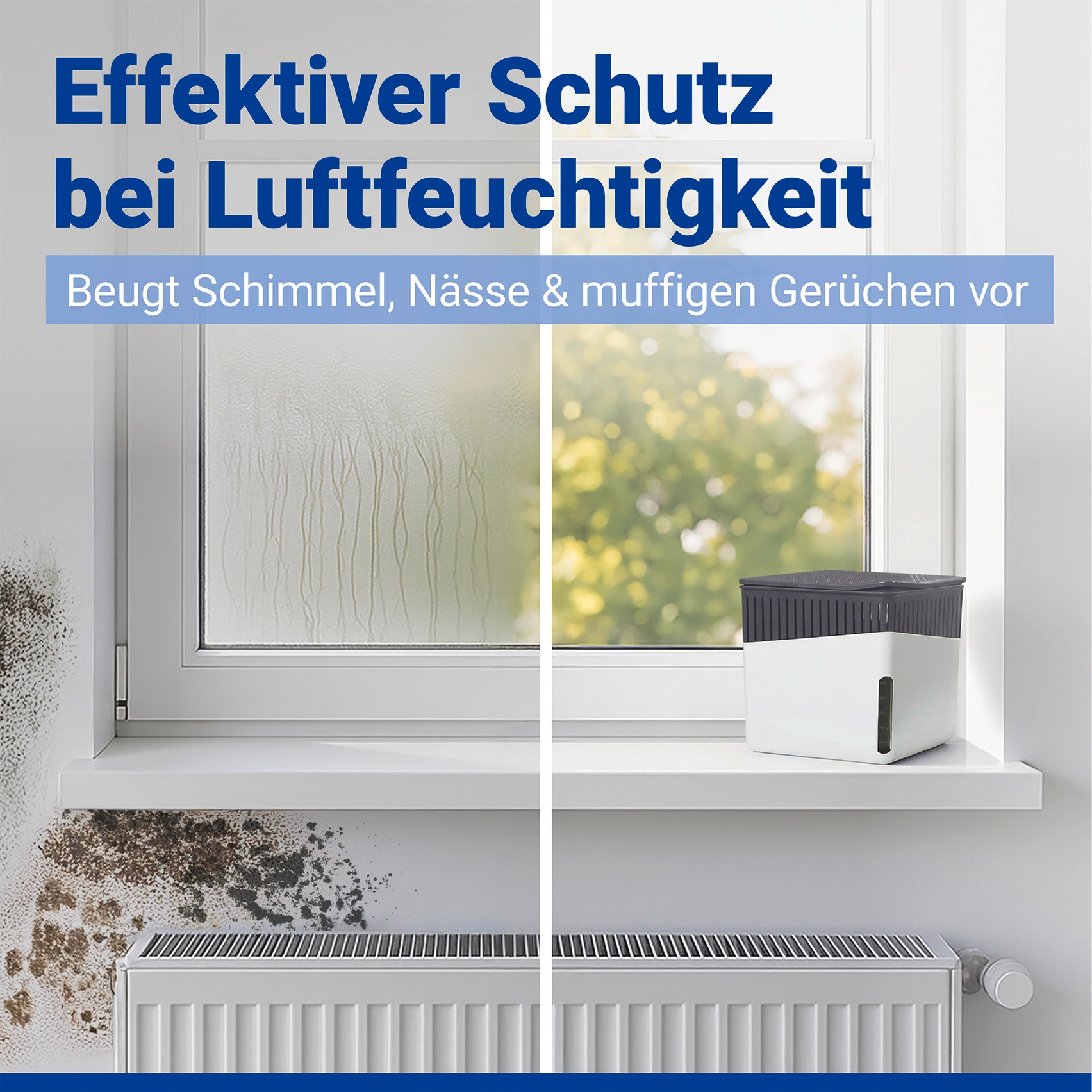 WENKO Luftentfeuchter »Cube« für 80 m³ Räume 2 x 1000g