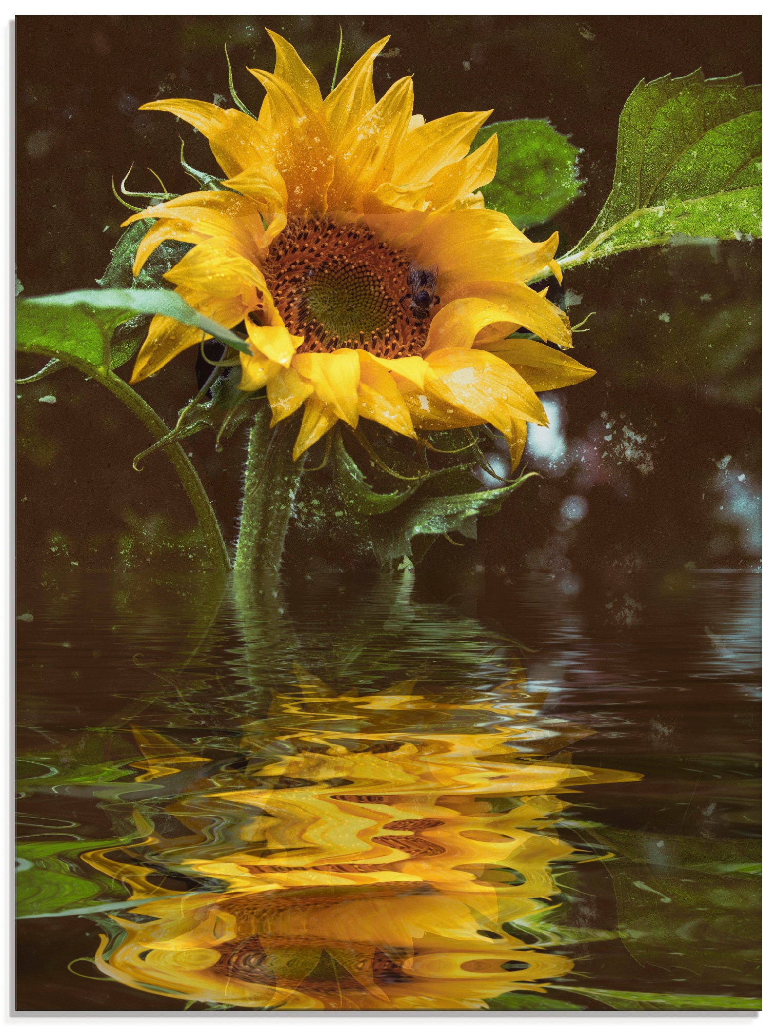 Artland Glasbild "Sonnenblume mit Wasserspiegelung", Blumen, (1 St.), in verschiedenen Größen
