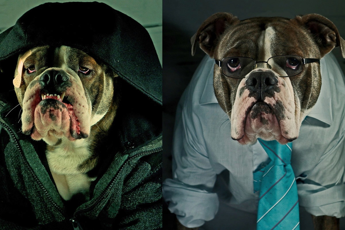 Papermoon "Hund"