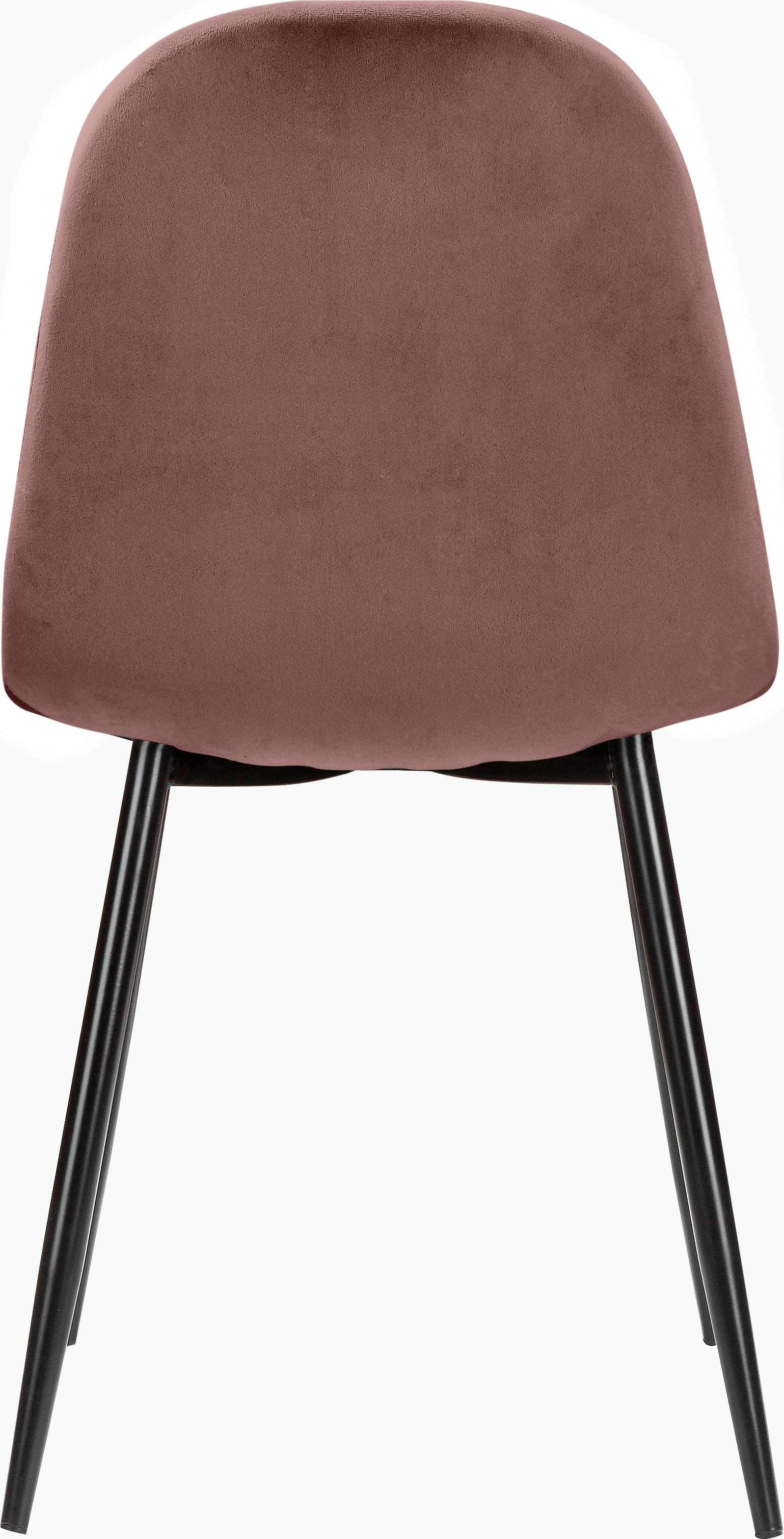 Leonique Essgruppe »Eadwine, TOPSELLER! Tisch plus 4 Stühle, Sitzgruppe«, (Set, 5 tlg., Esstisch plus 4 Esszimmerstühle), bestehend aus Esstisch 160 cm und 4 Esszimmerstühlen, Polsterstühlen