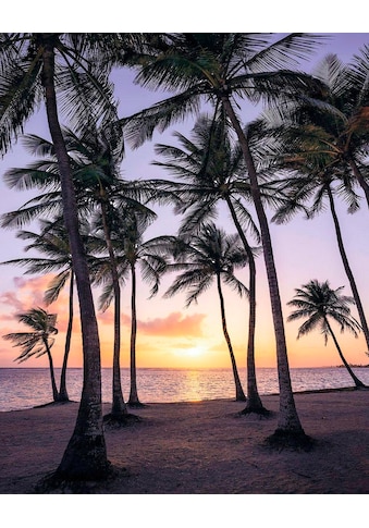 Komar Vliestapete »Palmtrees on Beach« 200x2...