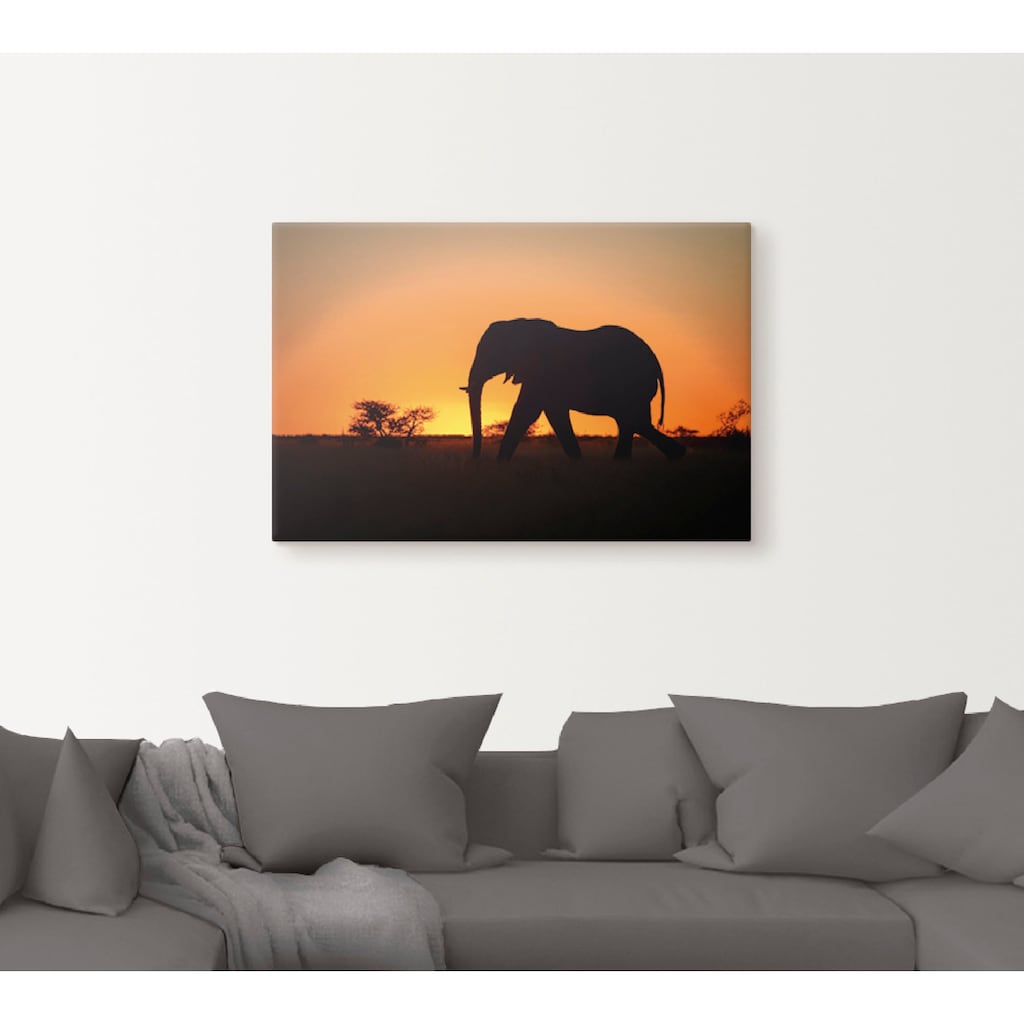 Artland Leinwandbild »Afrikanischer Elefant im Sonnenuntergang«, Wildtiere, (1 St.)