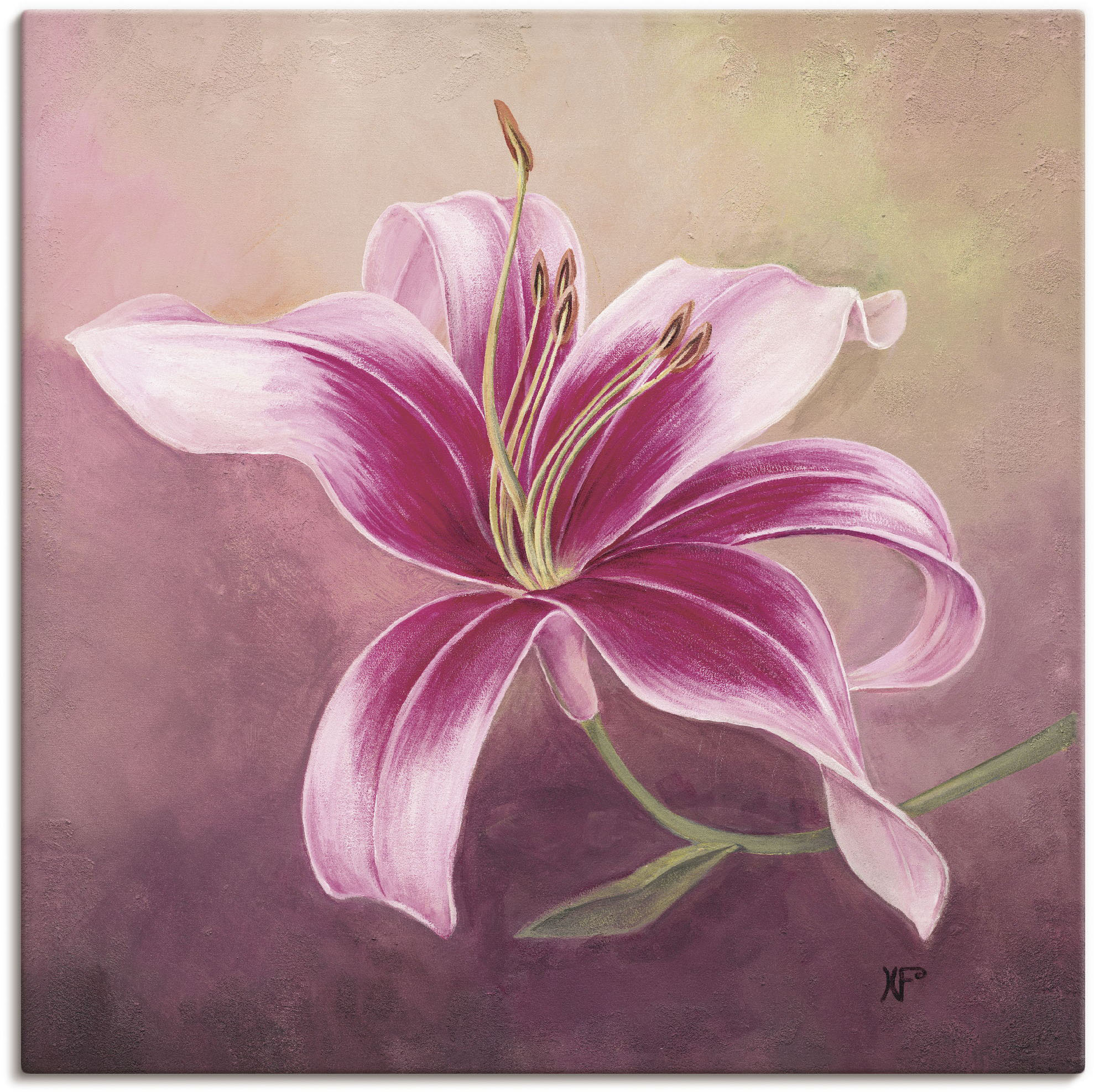 Artland Wandbild "Frühe Lilie" Blumen 1 Stk. tlg. als Leinwandbild, Poster in verschied. Größen