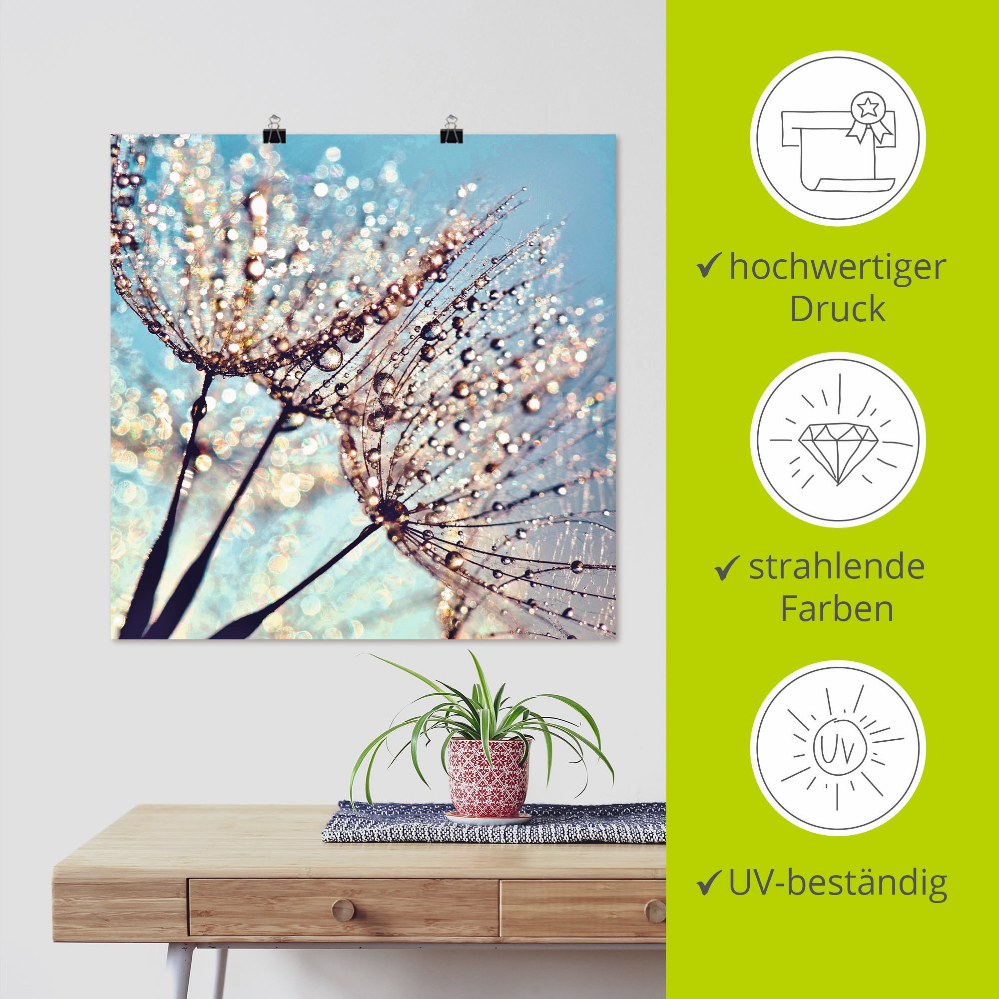 Artland Poster »Pusteblume Tröpfchenfänger« Blumen 1 Stk. tlg. als Alubild, Outdoorbild, Leinwandbild, Poster in verschied. Größen