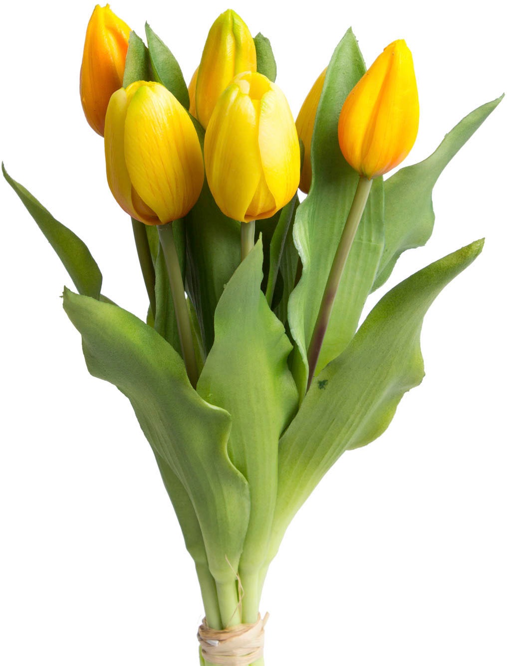 DELAVITA Kunstblume »Willa«, (Set, 7 St.), Tulpenbündel im 7er-Set kaufen