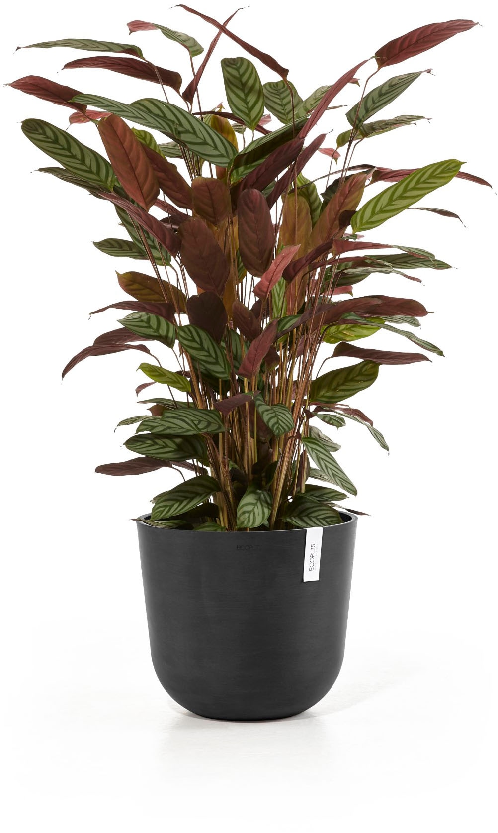 ECOPOTS Blumentopf »Oslo 35 Dunkelgrau« für innen und außen: frostsicher, bruchsicher und lichtbeständig