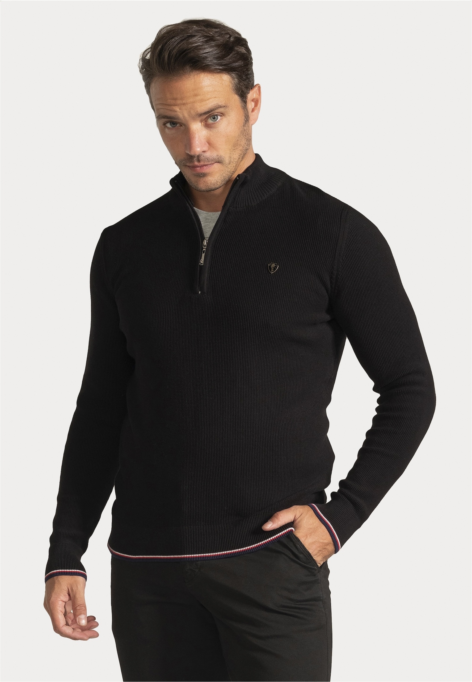 SIR RAYMOND TAILOR Strickpullover »Pulses«, (1 tlg.), mit Stehkragen