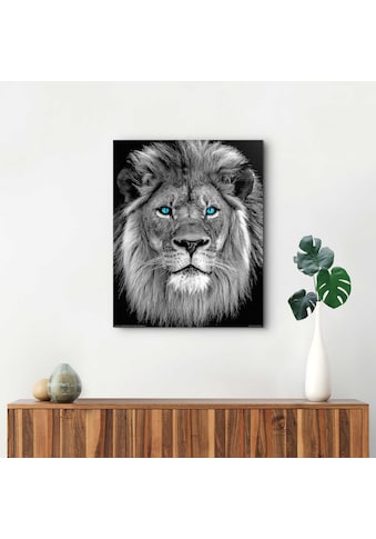 Reinders! Wandbild »Löwe mit blaue Augen« kaufen
