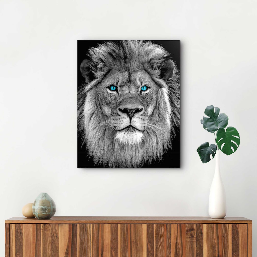 Reinders! Wandbild »Löwe mit blaue Augen«