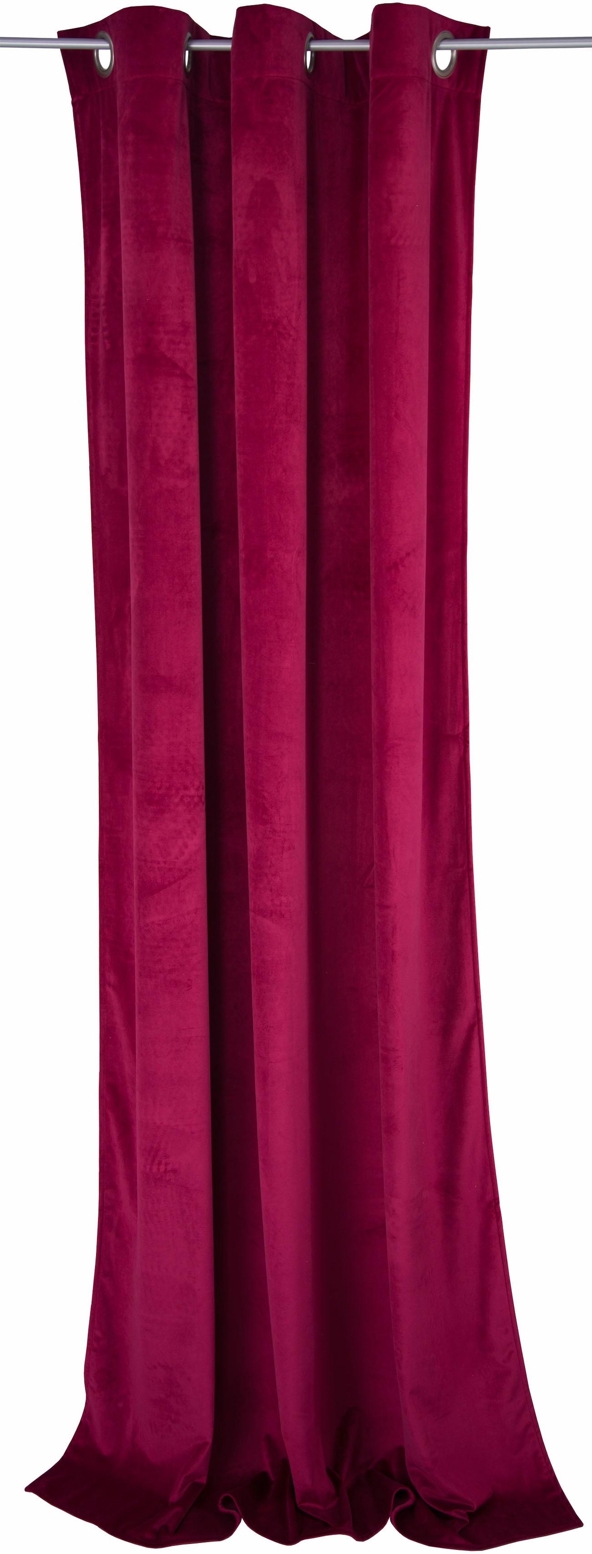 TOM TAILOR HOME Vorhang »FRENCH VELVET«, (1 St.), HxB: 245x135