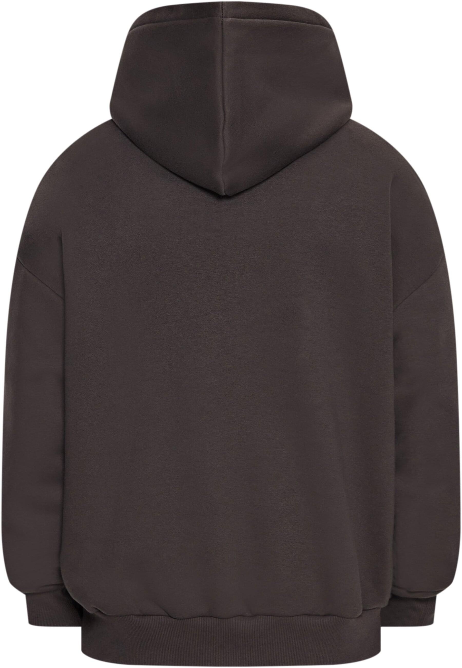 Dropsize Kapuzensweatshirt "Dropsize Herren", 1 Stk. günstig online kaufen
