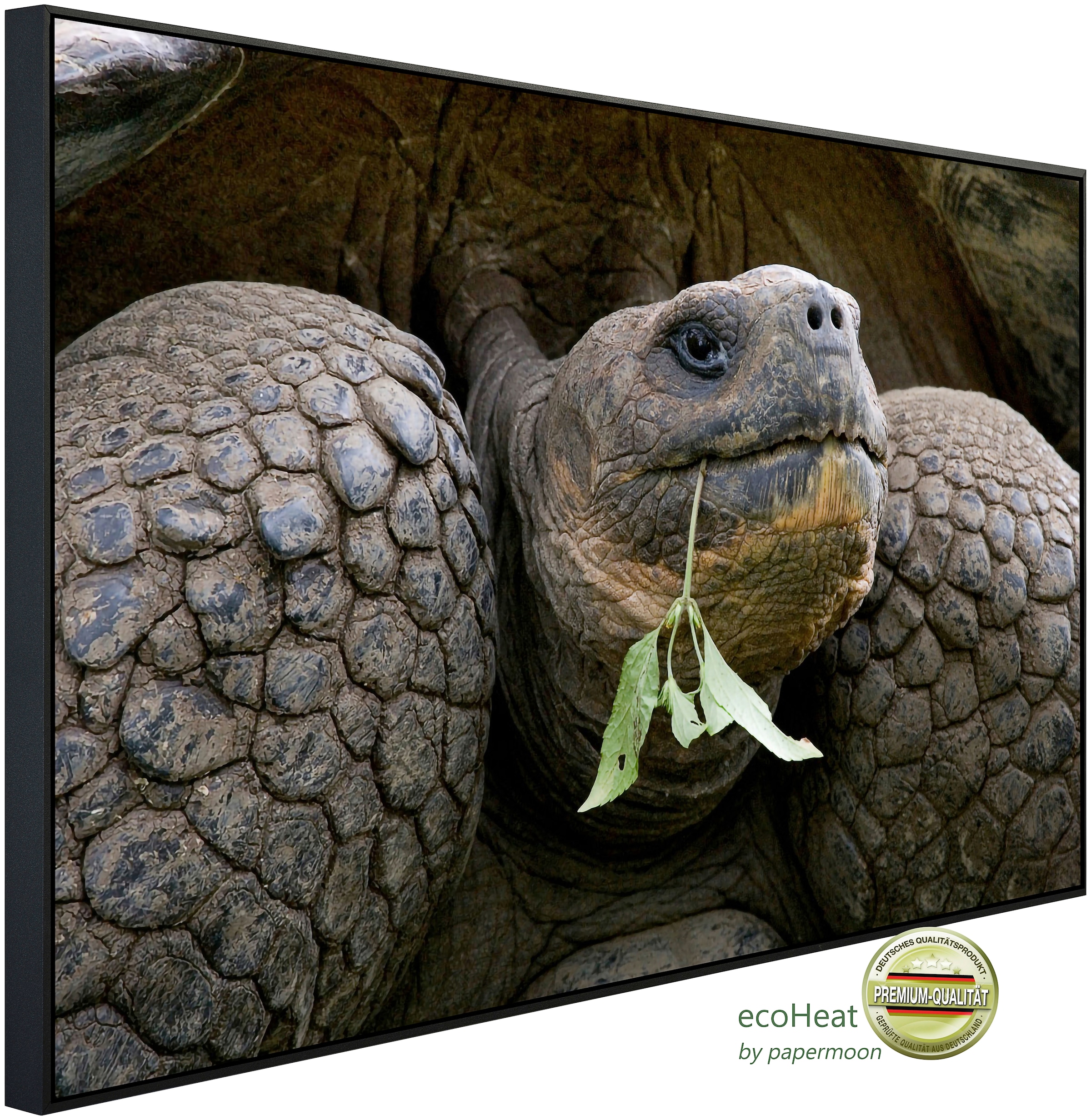 Infrarotheizung »Riesenschildkrötenporträt«, sehr angenehme Strahlungswärme