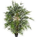 Schneider Kunstpflanze »Bambusbaum«, (1 St.)