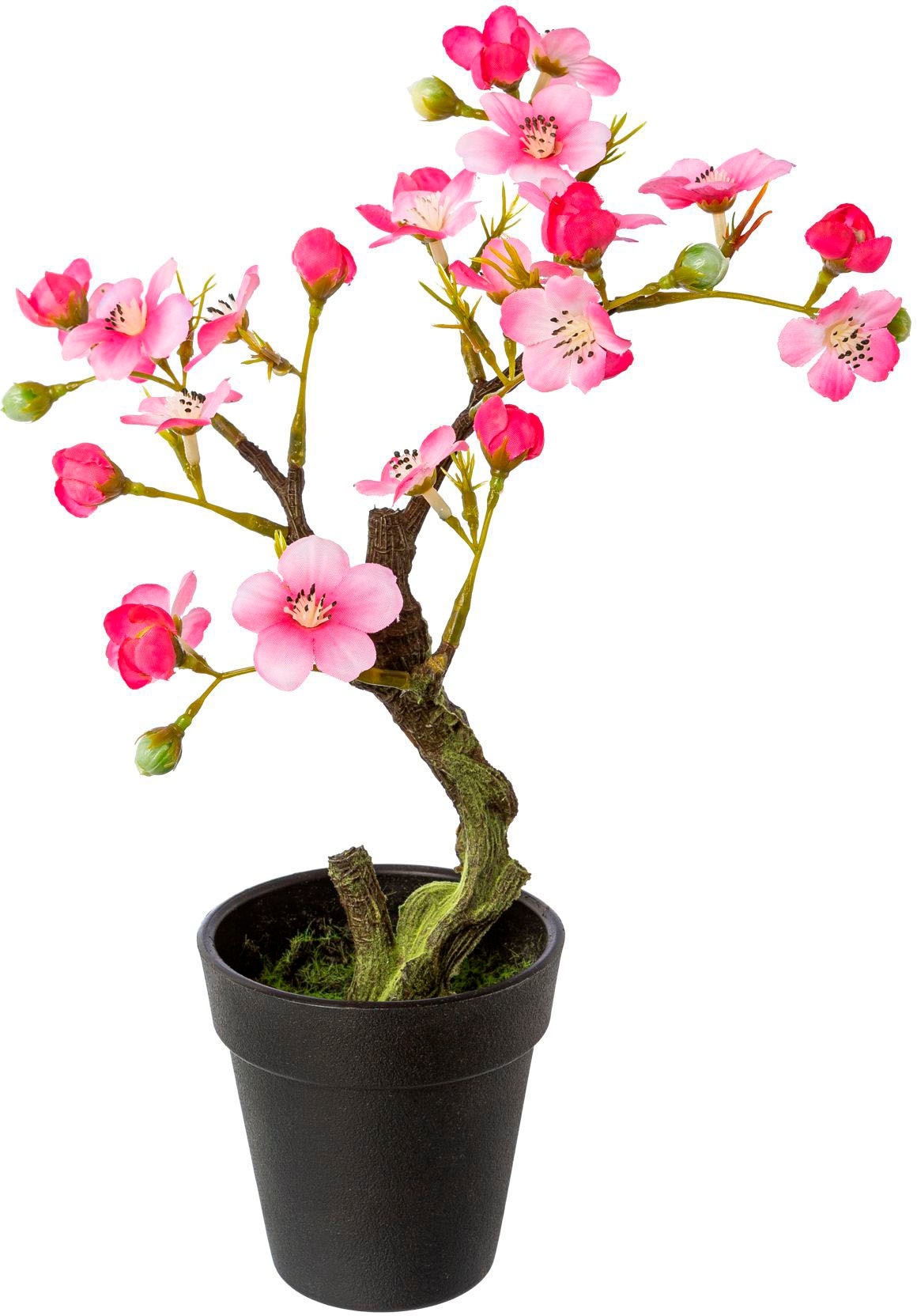 Creativ green Kunstblume »Mandelbonsai im Topf«
