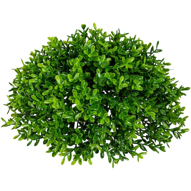 Creativ green Kunstpflanze »Teeblatt-Halbkugel« kaufen | BAUR