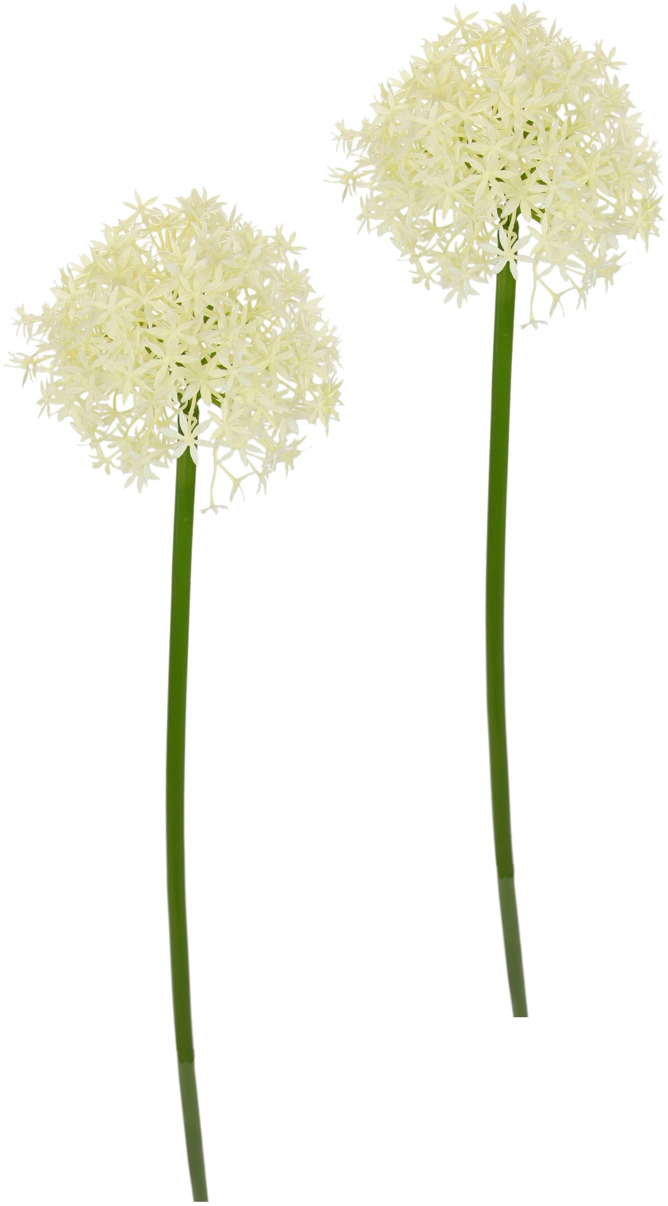 I.GE.A. Kunstblume "Allium Zierlauch", Stielblume künstliche Blumen, 2er Set