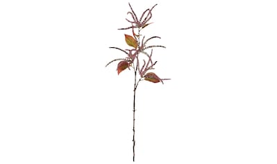 Creativ deco Kunstzweig »Amaranthus«, (Set, 2 St.) kaufen