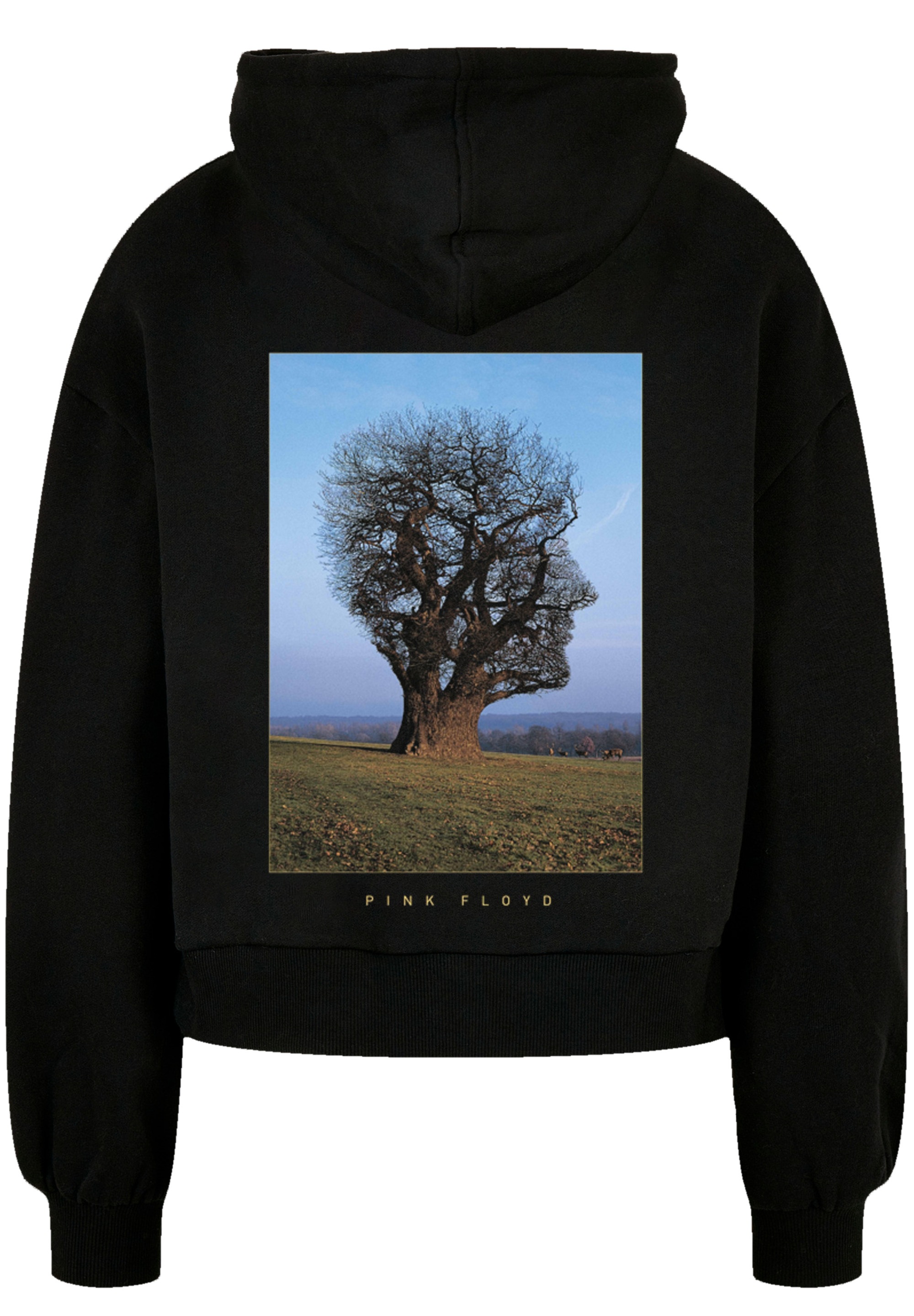 F4NT4STIC Kapuzenpullover »Pink Floyd Tree Head«, Print