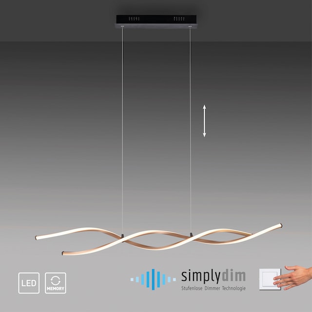 Paul Neuhaus Pendelleuchte »POLINA«, 2 flammig-flammig, LED, dimmbar, Simply  Dim | BAUR