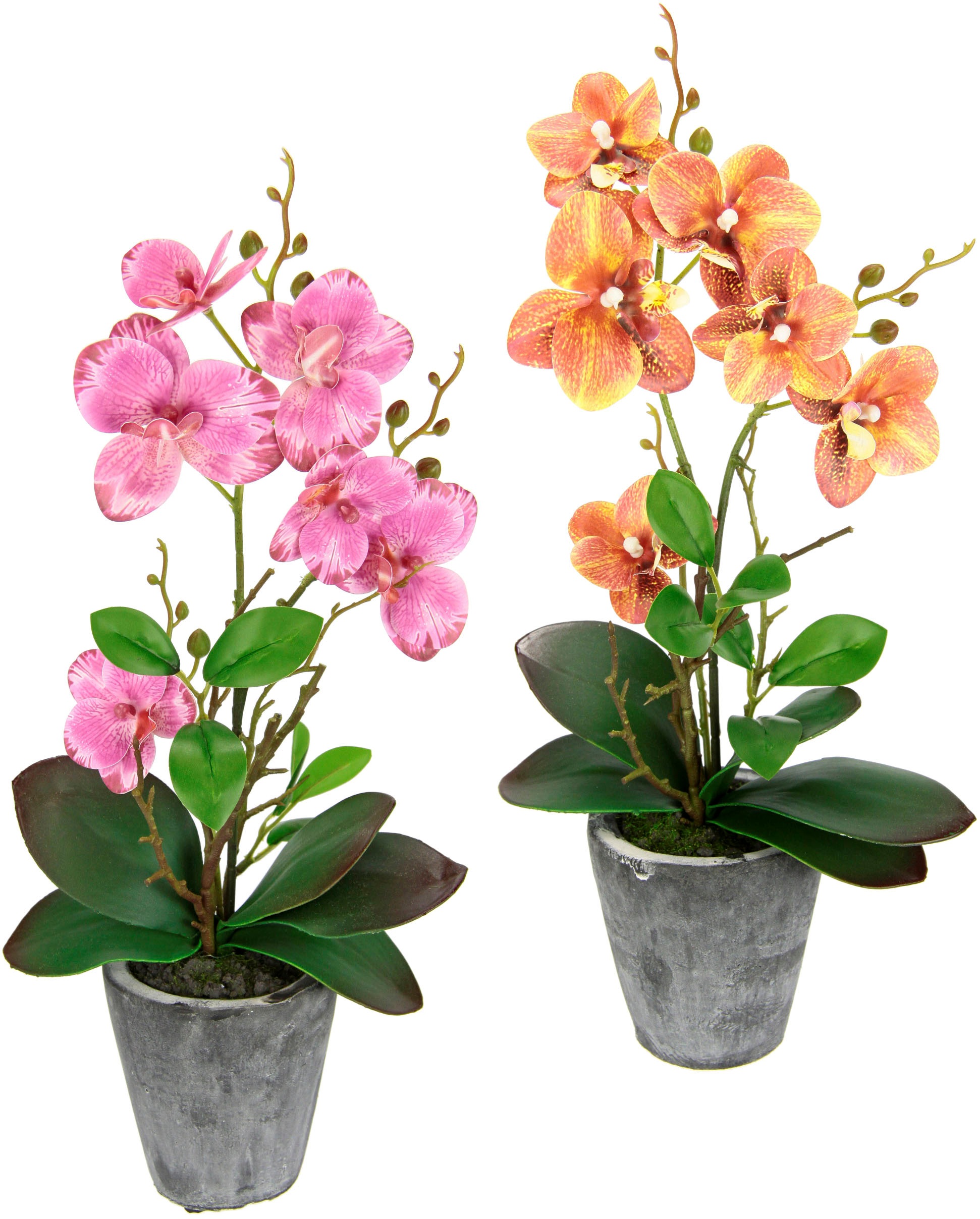 I.GE.A. Kunstpflanze »Orchidee« su Blättern ir...