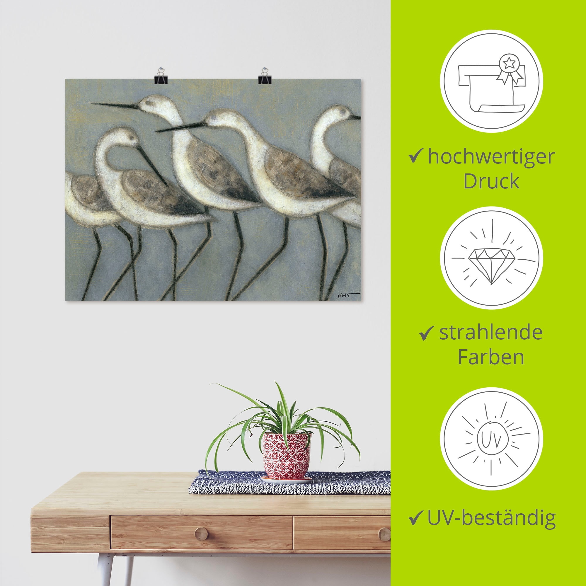 Artland Wandbild »Küstenvögel I«, Vögel, (1 St.), als Alubild, Outdoorbild, Leinwandbild, Poster in verschied. Größen